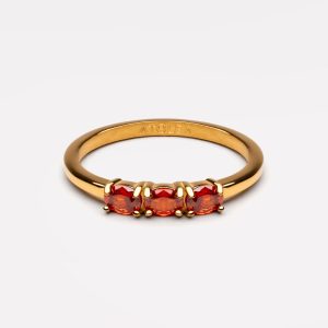Raspberry Ring