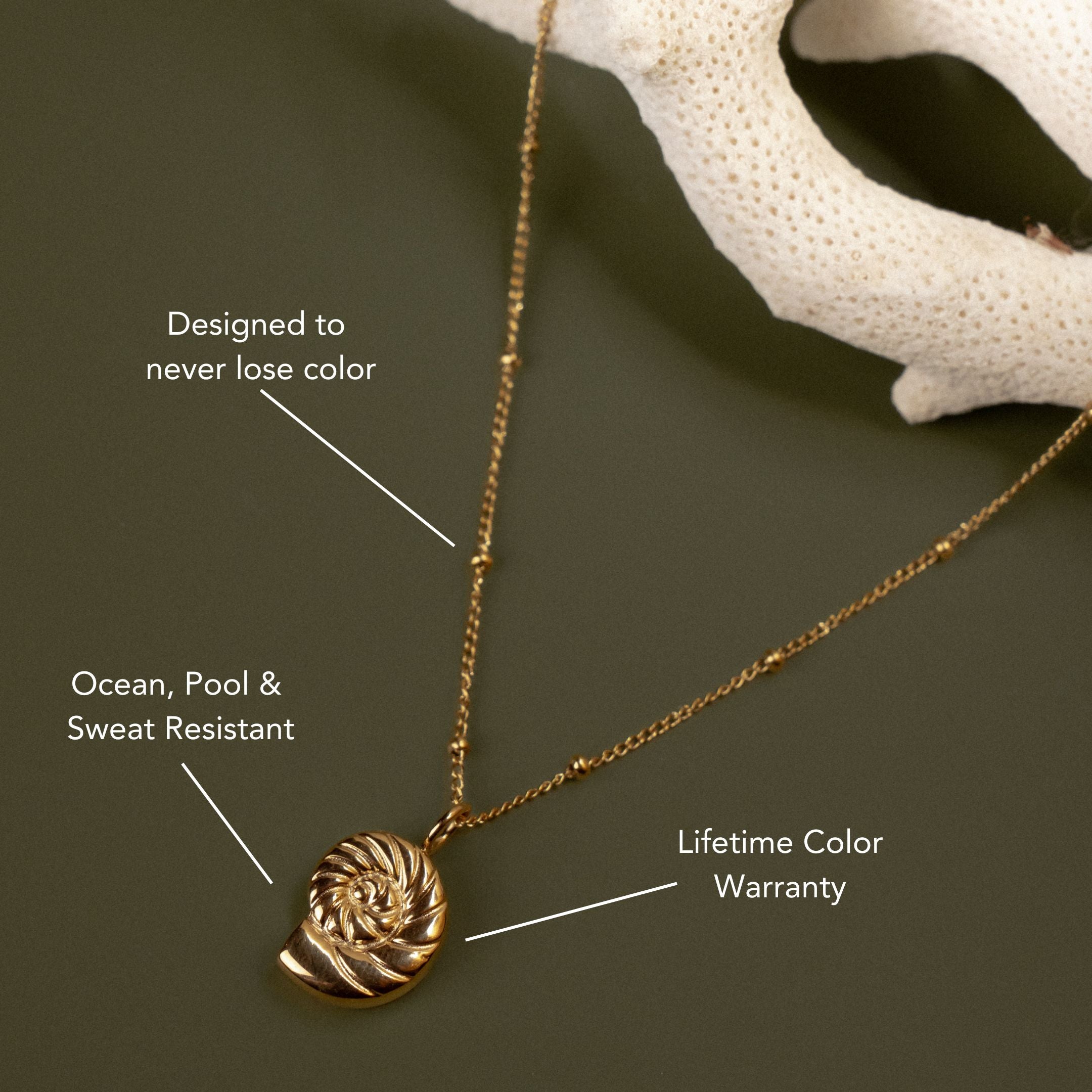Nautilus Necklace - Image 2